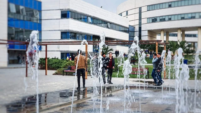 Single Category الجامعة العربية الدولية الخاصة